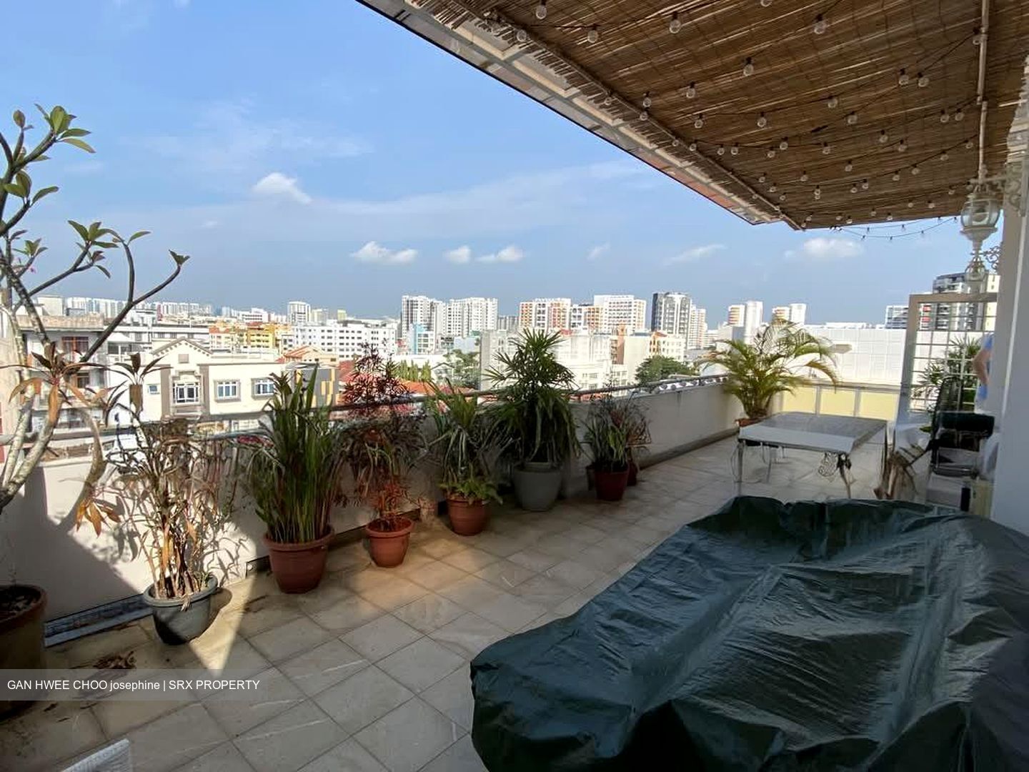 Evergreen View (D14), Apartment #573561271